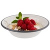 APS 98669 Set of 2 Enamel Bowls Diameter 16.5 cm