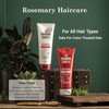 The Grandpa Soap Company Shampoo - Purifying With Rosemary and