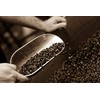 Caffe D'arte Meaning of Life Blend Whole Bean Coffee, 12