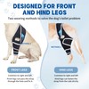 Moysoon Dog Knee Brace for Torn Acl Hind Leg -