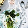 Robert Welch Radford Satin Cutlery Coffee/Espresso Spoon, Set of 8.