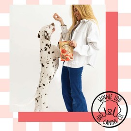 Winnie Lou Strawberry Shortcake Biscuits - Organic Healthy Dog Treats Made in The USA with Strawberries, Beets, Vanilla - Human Grade Dog Biscuits Sourced from Local Colorado Farms, 2 Pack