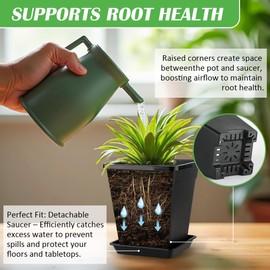 6 inch Plant Pots, 10 Pack Flower Pots Outdoor Indoor, Square Plastic Planter with Drainage Holes and Saucers, 0.5 Gallon Planter Pots for Plants Deep Capacity Garden Pot Container with Tray