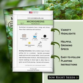 Sow Right Seeds - Buckwheat Microgreen Seed for Growing - Instructions to Quickly Grow Your Own Delicious and Healthy Microgreens - Plant Indoors with no Special Equipment - Super Easy Superfood