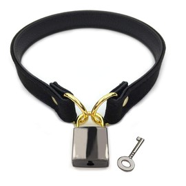 Succuba Padlock Choker Collar Necklace Lolita Collar Cat Kitty Velvet Necklace with Lock and Key (E, 18)