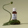 Georges-en-Laur Face & Body Essential Synergy Clarifianthe, 20ml, 1 unit