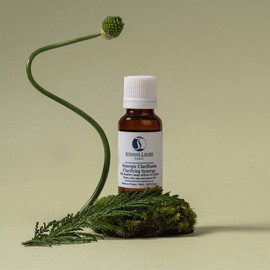 Georges-en-Laur Face & Body Essential Synergy Clarifianthe, 20ml, 1 unit / 조지앙로르 페이스&바디 에센셜 시네르지 끌라리피앙뜨, 20ml, 1개
