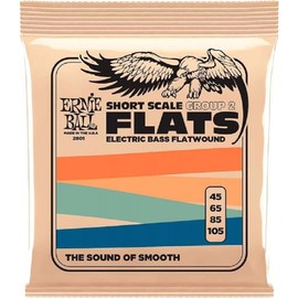 Ernie Ball Ernie Ball Flatwound Group 2 Short Scale Electric Bass Strings 45-105 Gauge