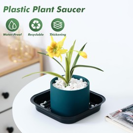 10 Inch Plant Saucer 30 Pack Plant Trays for Pots Square Plant Pot Saucers for Outdoors and Indoors Plant Water Catcher Tray Plastic Plant Trip Trays Saucers for Potted Plants Planter Dishes