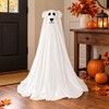 LED Ghost Dog Halloween Decoration with Remote Control – Lightweight