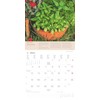 Alpha Edition - Herbs & Spices 2025 - Brochure Calendar