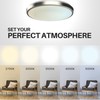 DYMOND 11" LED Flush Mount Ceiling Light Brushed Nickel Dimmable