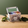 Koala Tea Gift Tin Forest - Organic Tea Bags Selection