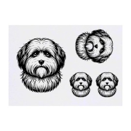 4 x 'Havanese' Temporary Tattoos - Water Resistant, Skin-Safe, Non-Toxic Transfers, Mixed Sizes (TO00075956)