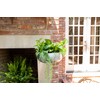 Creative Co-Op Grey & Gold Hanging Iron Planter