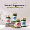 GinSen Strong Mood 150 Capsules, Natural Balance, Ovulation Support &