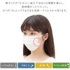 Iris Ohyama Non-Woven Mask, Set of 126, Non-Woven Fabric, Pleated
