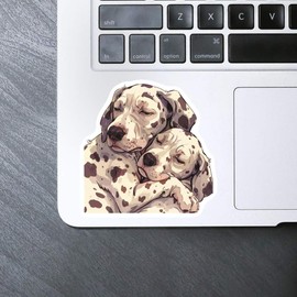 Azeeda 'Cuddling Dalmatians' White Premium Vinyl Decal Sticker – Waterproof, Durable & Easy to Apply - Ideal for Car Bumpers, Windows, Bins and More (DW00117237)