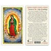 Novena to Our Lady of Guadalupe Laminated Prayer Cards -