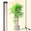 Barrina Grow Lights for Indoor Plants with Stand, 42W 169