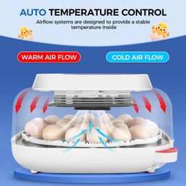Sailnovo 24 Eggs Incubators for Chicken Eggs with 4 Modes, 360° View Digital Incubator with Automatic Egg Turning and Temperature Control, Egg Candler (Blue)