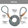 Petarea 5 FT Slip Lead Dog Leash, Heavy Duty Rope