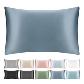 SILKTALE 19 Momme 100% Mulberry Silk Pillowcase for Hair and Skin,Pure Silk Pillow Case with Hidden Zipper,1pc,Ash Blue,Standard Size 50x65 cm