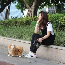 Best Dog Supplies Camping Dog Leash - 26ft/8M Camo Dog Leash - Retractable Dog Leash with Built-in Flashlight for Night Walks - Easy Lock/Unlock, Ideal for Small Medium Large Dogs