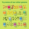 Suplemento Nutricional Greens Grass Greens Blend en Polvo, 210 g