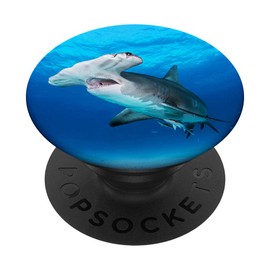 Hammer Shark in Blue Sea Ocean