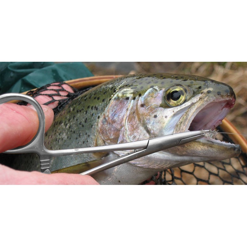 Ultimate HEMOSTAT Set 6PC by SurgicalOnline