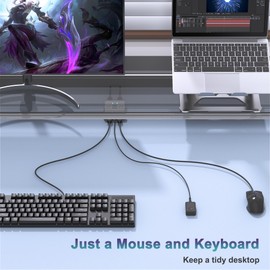 USB Switch 2 in 2 Out, USB Switcher 2 Computers Sharing Keyboard and Mouse