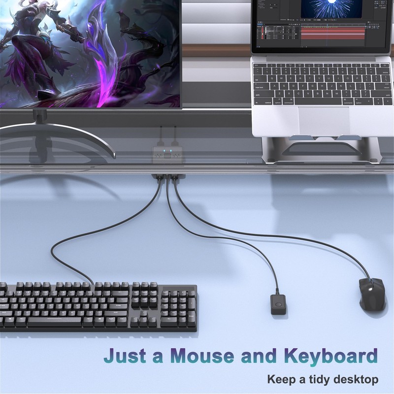 USB Switch 2 in 2 Out, USB Switcher 2 Computers