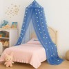 Vicloon Bed Canopy, Mosquito Net for Single Beds, Princess Canopy,