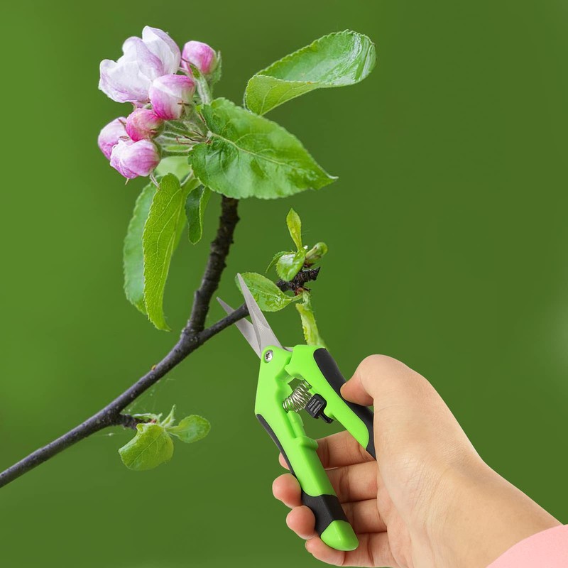 JEUIHAU 8 Pack 6.5 Inches Bud Trimming Scissors, Gardening Hand