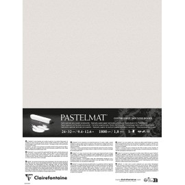 Clairefontaine 796020C - Pack of 5 Sheets Laminated Pastel Mat, DIN A4+, 24 x 32 cm, Practical and Safe, 360 g, Light Grey, 1 Pack