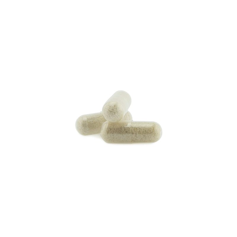 Sabal Palmetto and Pumpkin Seeds * 440 mg / 120