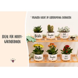 Darlena Beste Tante der Welt | Aunt Gift, Birthday Gift | Herb Garden Gifts for Aunt for Birthday, Mother's Day or Christmas | Flower Pots for Planting