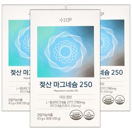 Delicious pharmacy lemon flavor magnesium lactate 250 nutritional supplement magnesium lactate powder recommended powder, 3 packs, 30 tablets / 맛있게 먹는 약국 레몬맛 젖산마그네슘250 영양제 락트산 마그네슘분말 추천 파우더, 3개, 30정