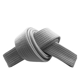 RingMaster Sports Grading Belts 9 Plain Colour for Karte Judo Taekwondo Martial Arts Training Competition | 230cm, 250cm, 280cm, 320cm (White, 230 cm)