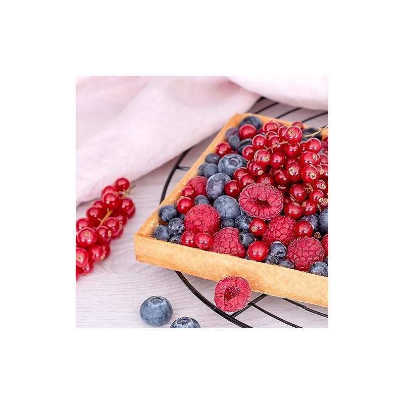 Städter 490611 Tart Frame 18/8 Stainless Steel