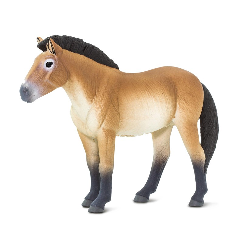 Safari Ltd. Przewalski's Horse Figurine - Lifelike 5" Horse Figure