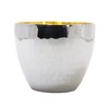 Castle Enterprises TSUBAME SUSCUP Suspension Hammer Double Guinea Gold Plated