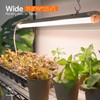 Bstrip Plant Shelf with Grow Light with Timer, Plant Stand