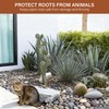 NUPICK 6lb Mexican Beach Pebbles, 2-3" Large River Rocks for