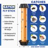 GATCH Fruit Fly Trap (4 Pack), Fly Stick for Mosquitoes,