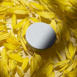 Ere Perez - Natural Arnica Concealer (Latte)