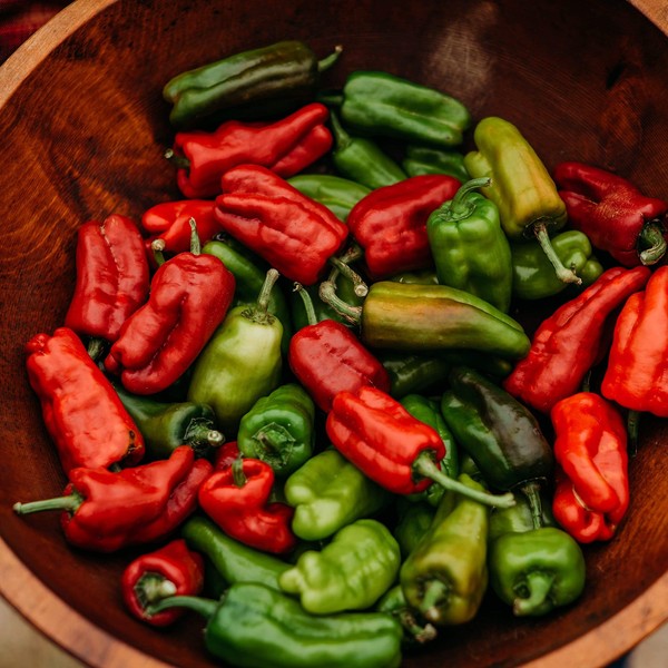 Dolmalik Biber Sweet and Spicy Pepper - 25 Seeds -