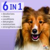 Hartz Groomer's Best Professionals 6-in-1 Dog Shampoo and Conditioner in