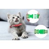 Deetenks Cat Collars 19 Pack Footprint Cat ID Collars Adjustable